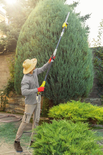 Best Artificial Turf Installation  in Nambe, NM